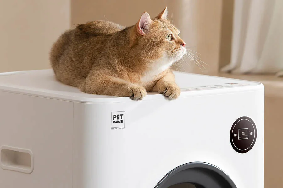 best scoop free litter box